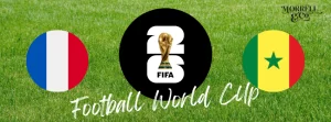 France V Senegal